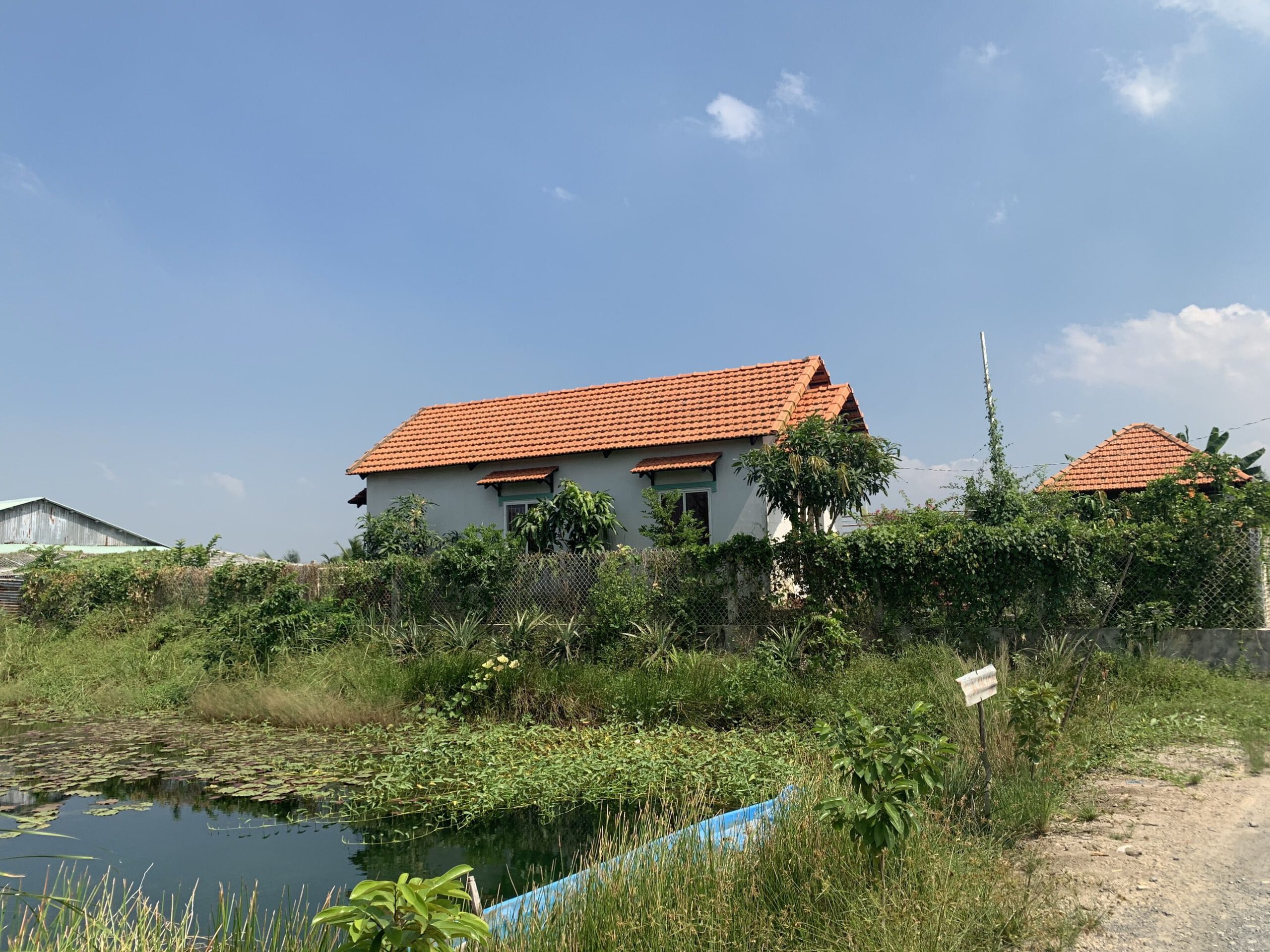 Đất Vườn Phước Khánh Nhơn Trạch – 1 Sẹc Phạm Thái Bường Đường Ô Tô Rộng 7m